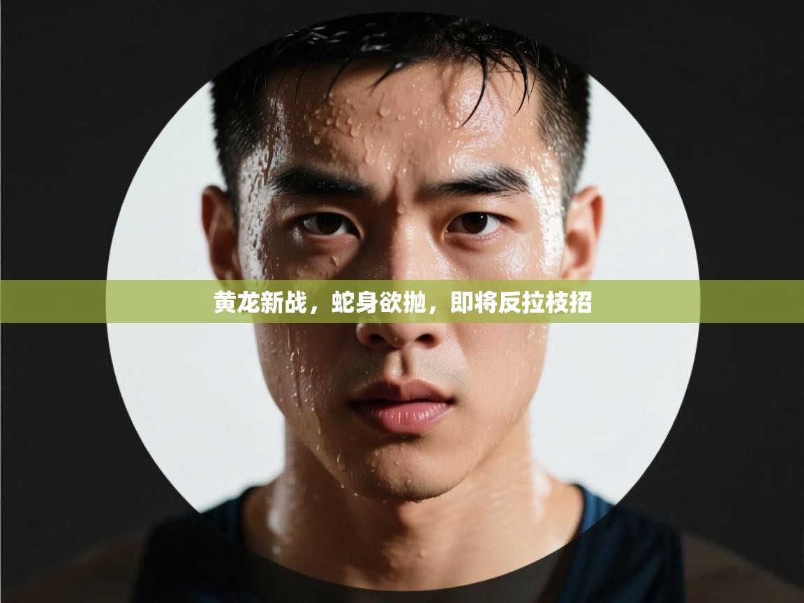 黄龙新战,蛇身欲抛,即将反拉枝招 第1张