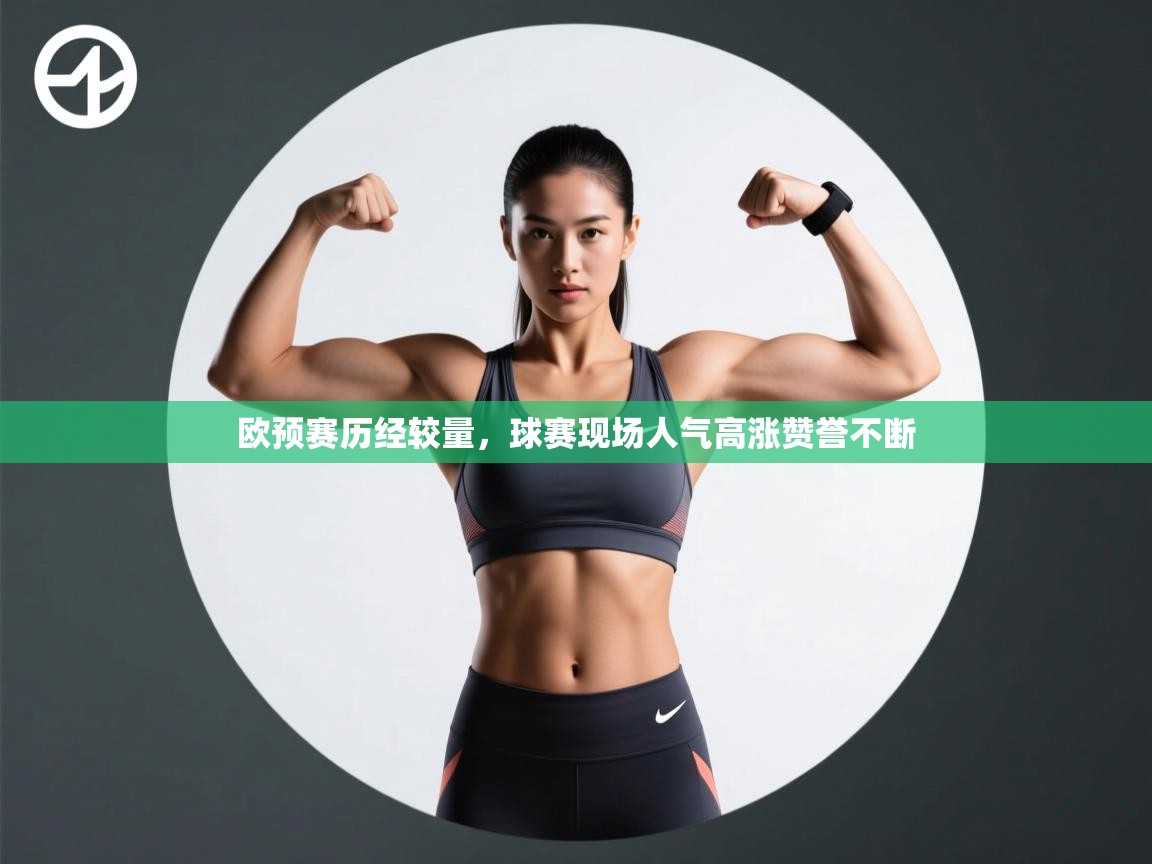 欧预赛历经较量，球赛现场人气高涨赞誉不断  第1张
